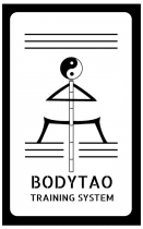 Diseño logo BodyTao - Alunarte diseño y comunicación - Vitoria-Gasteiz