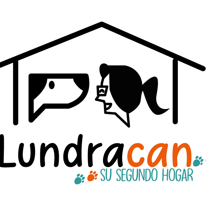 Diseño de logotipo para Lundracan | Alunarte diseño y comunicación Vitoria-Gasteiz